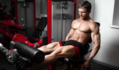 10 Best Leg Extension Machine Muscles Worked