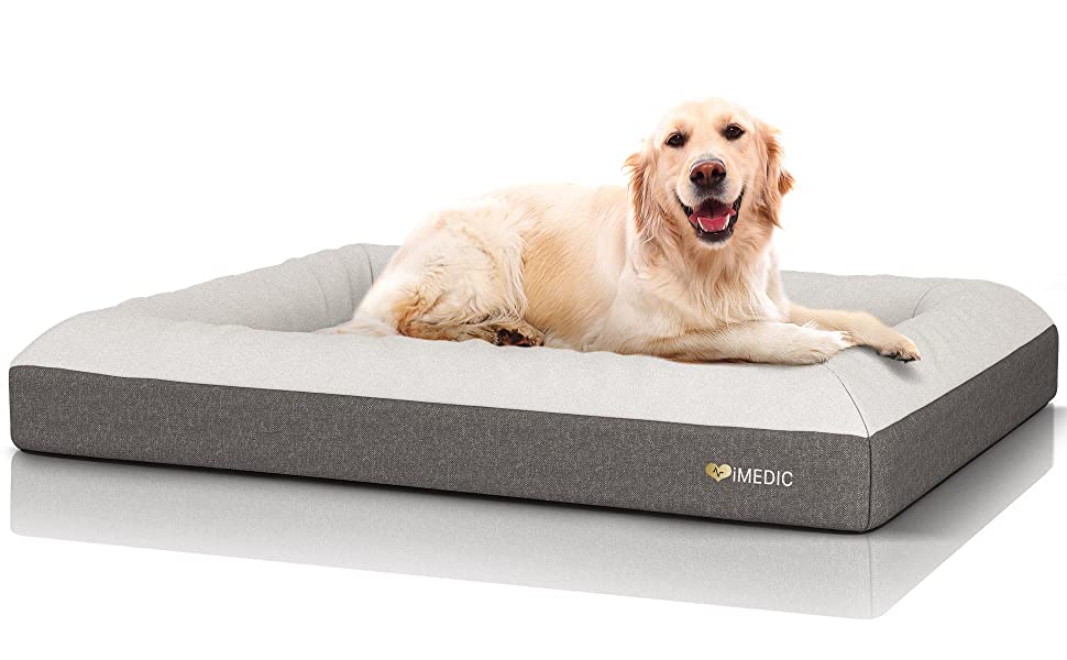 10 Best Beds for Dogs: Comfortable Sleeping Options for Your Furry Friend
