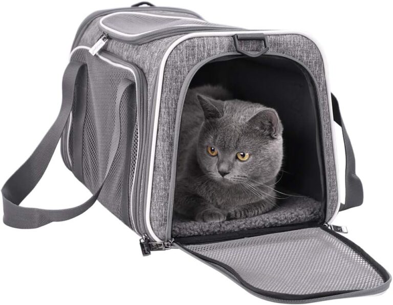 10 Best Cat Carriers Tested by Pet Experts