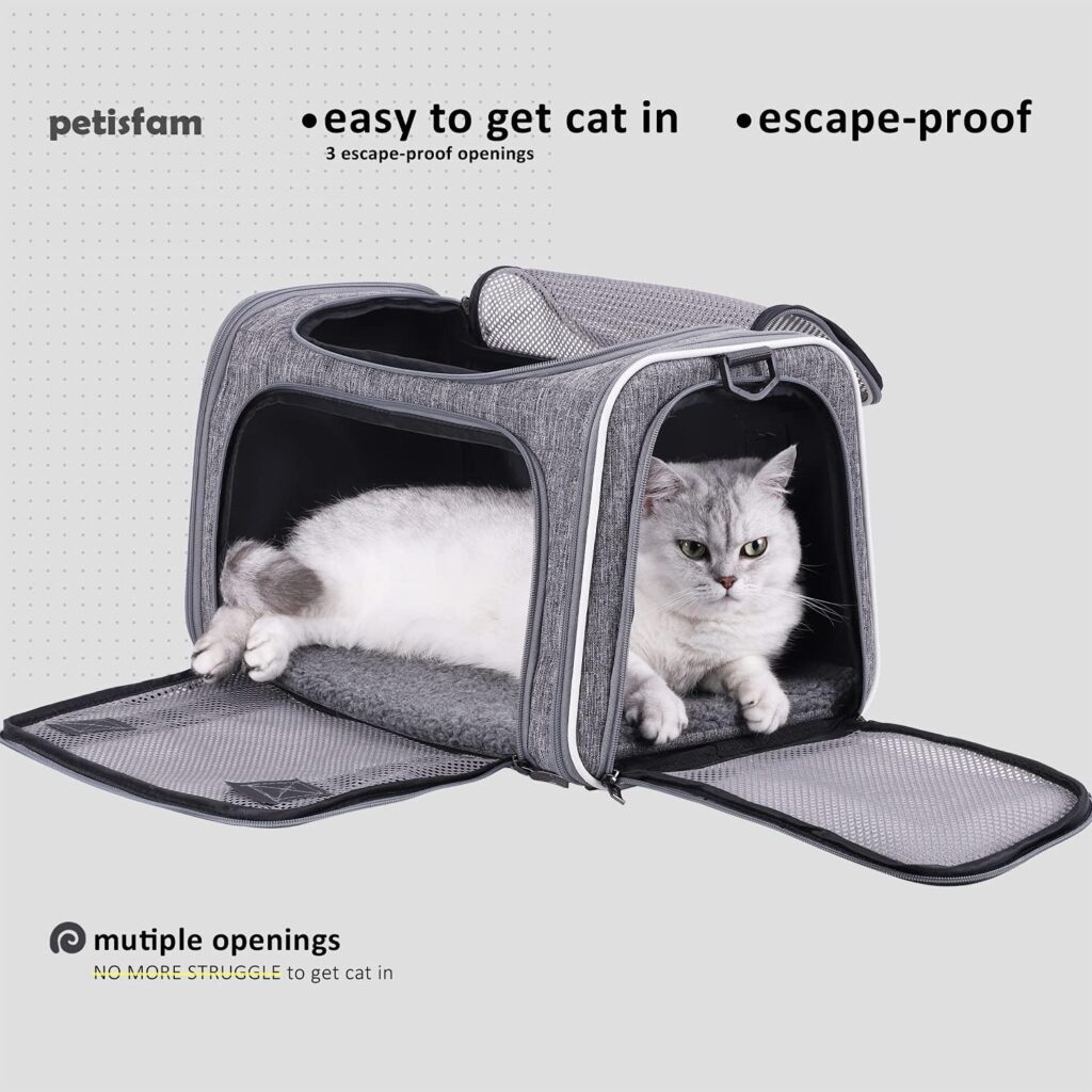 Best Cat Carrier for Airplane 