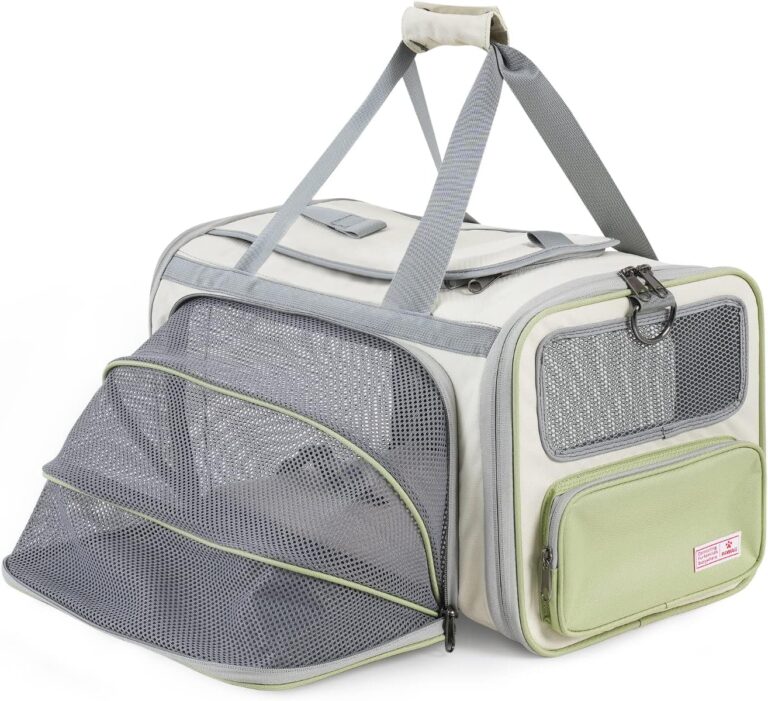 4 Best Cat Carrier for Airplane Adventures