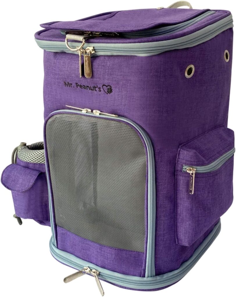 best cat carrier backpack