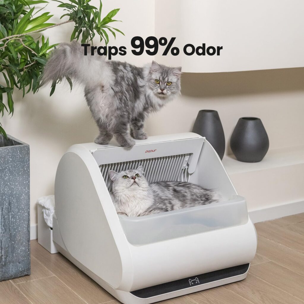 best automatic litter box for Maine Coon