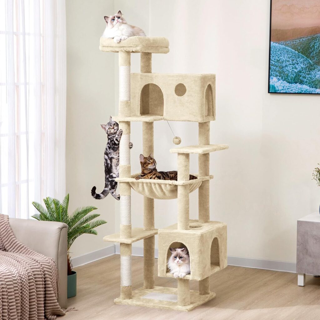 best cat tree for maine coon