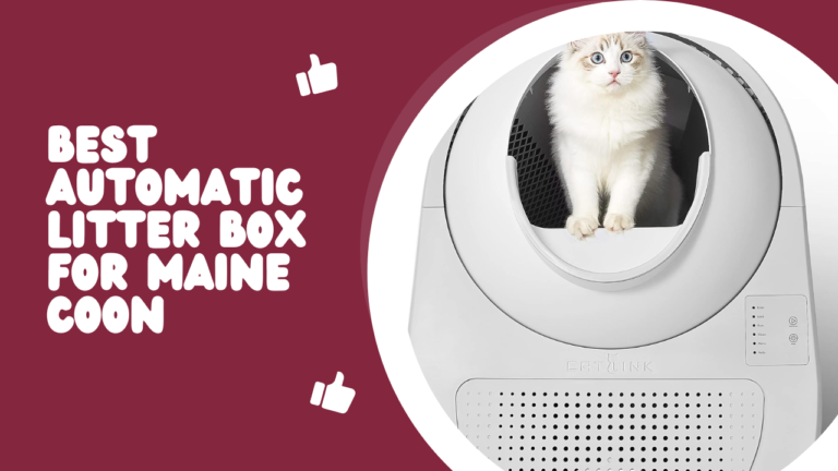 5 Best automatic litter box for Maine Coon Cats