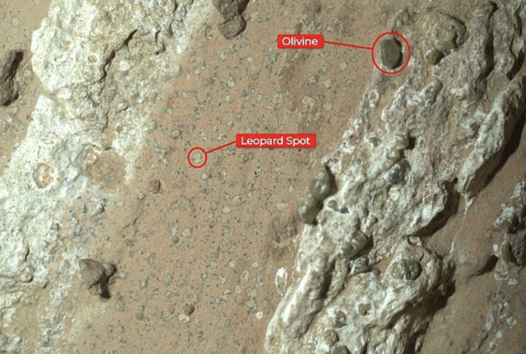 NASA has announced the discovery of microbial life on the Martian surface.