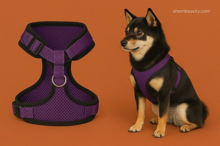 10 Best Dog Harnesses 2025 • Safe, Comfortable & Trainer-Tested