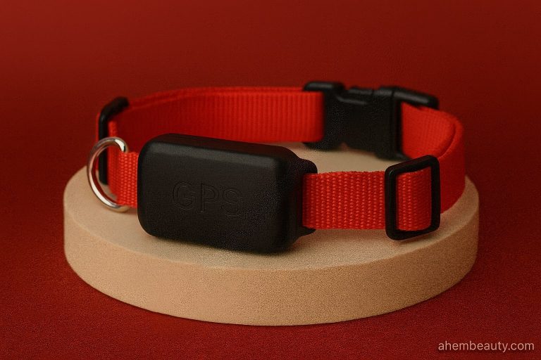 Best GPS Dog Collars Without Subscription