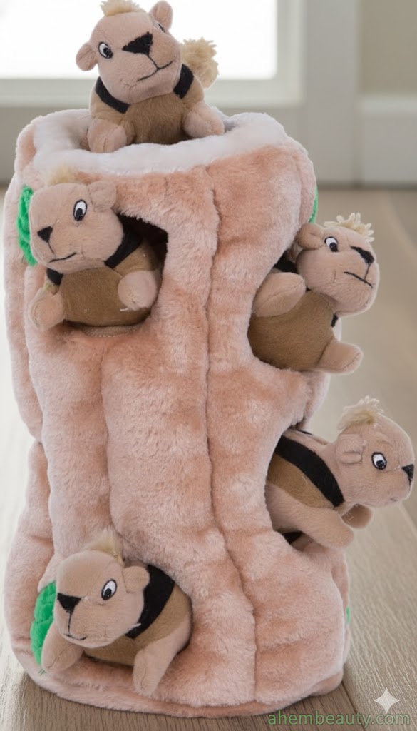 Best Toys for Dogs 2025