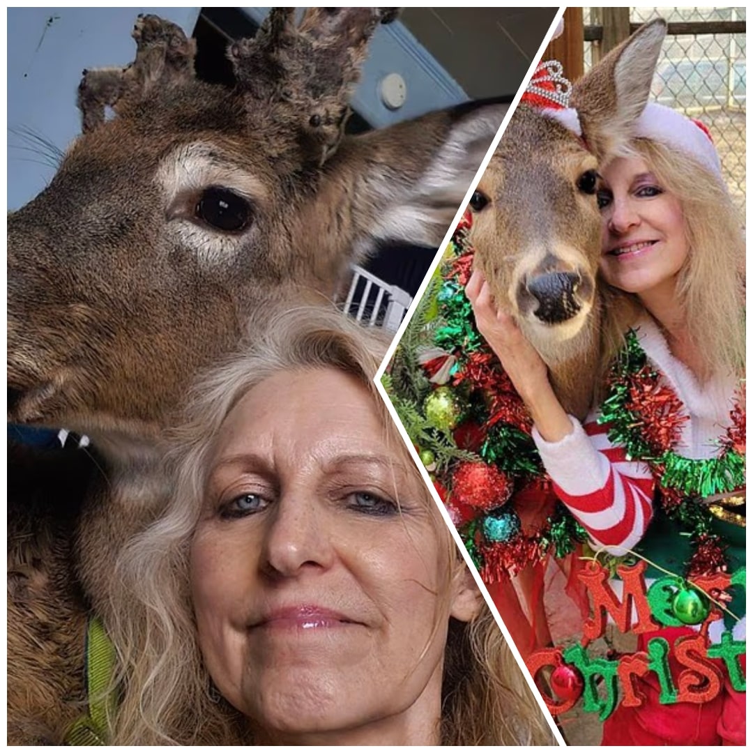 Rescuer's Tragic End: Ohio Grandma Killed by Deer She Saved
