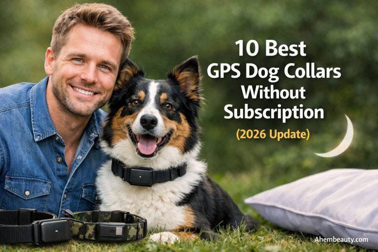 10 Best GPS Dog Collars Without Subscription (2026 Update)